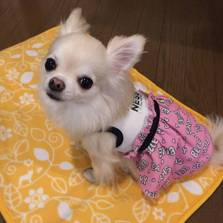 Be9dca66 3957 4ce9 97ca 2c578259bb20