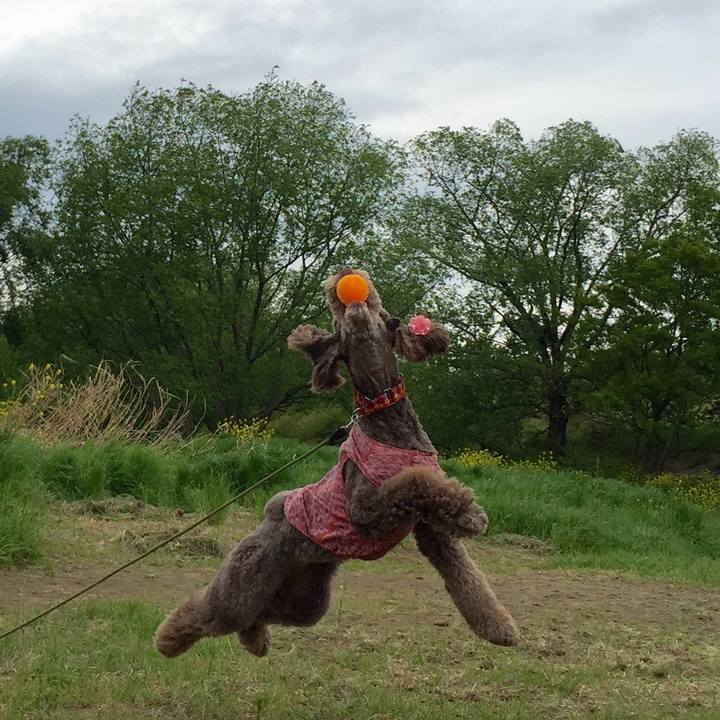 Be9e4d60 60ee 41c8 9e0e ed734073d988