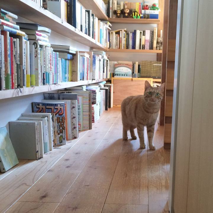 Be9e9bb9 bd74 4c5e 9ab5 fe0cb97695e2