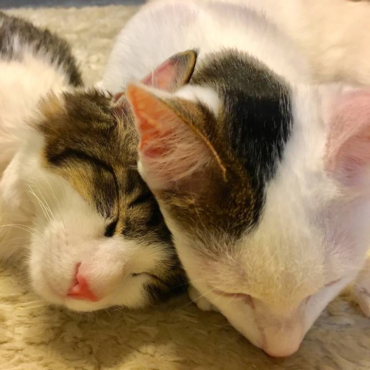 Be9ec85d 5c4c 4642 96d9 4329682da8a5