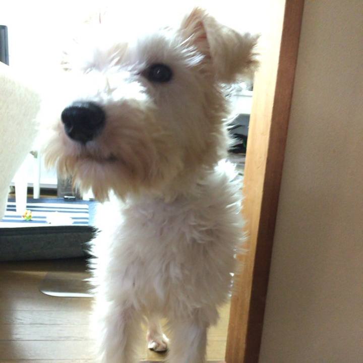 Be9f8aa6 26a3 44bc a000 b2309133de2b