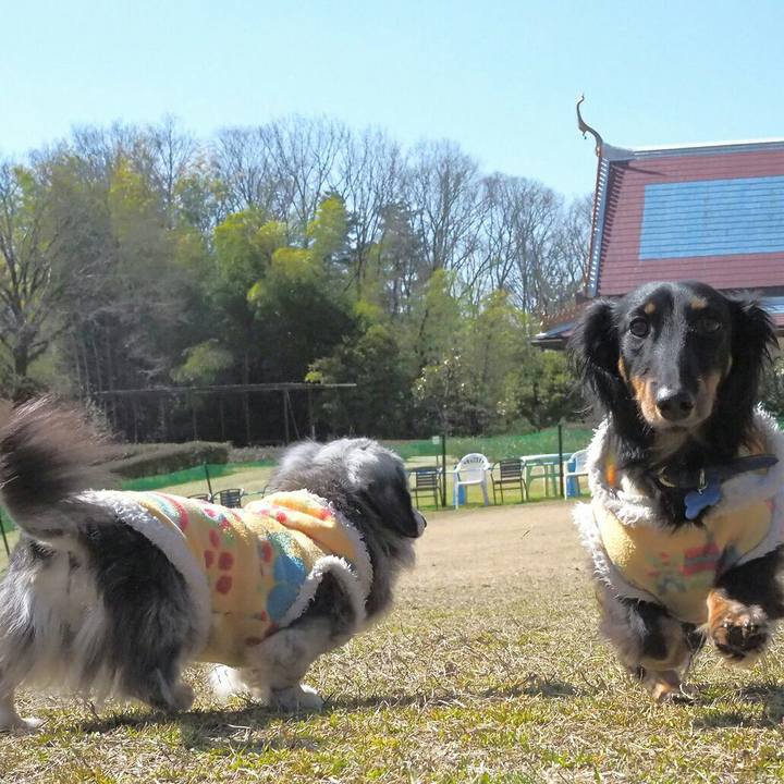 Be9fa201 97f1 48bc a968 e7b5d1fd5d79