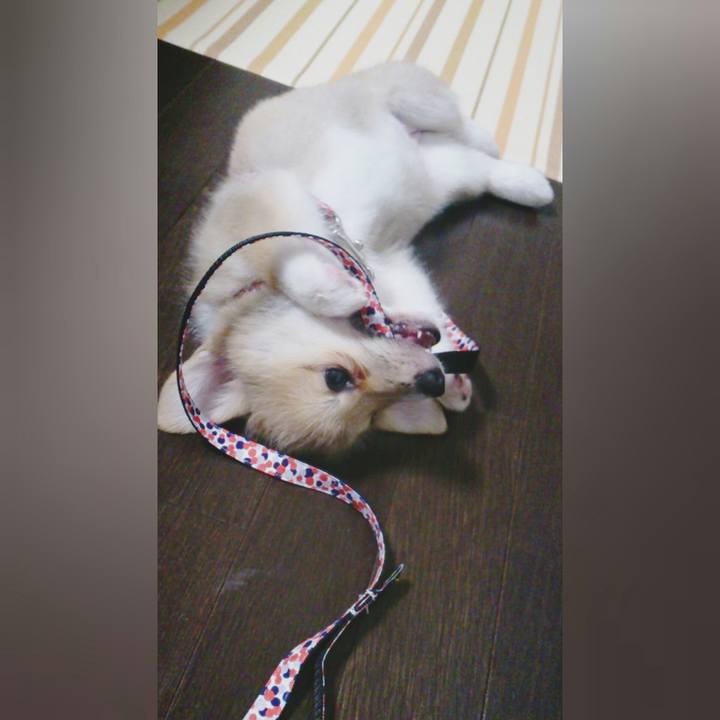 Bea0a412 28d0 40c8 ae24 b6304cea50c4