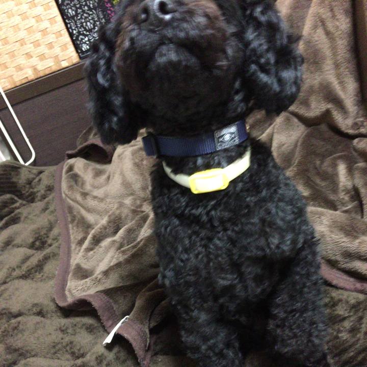 Bea18012 0280 48b7 9b6a ff8a34cb59ab