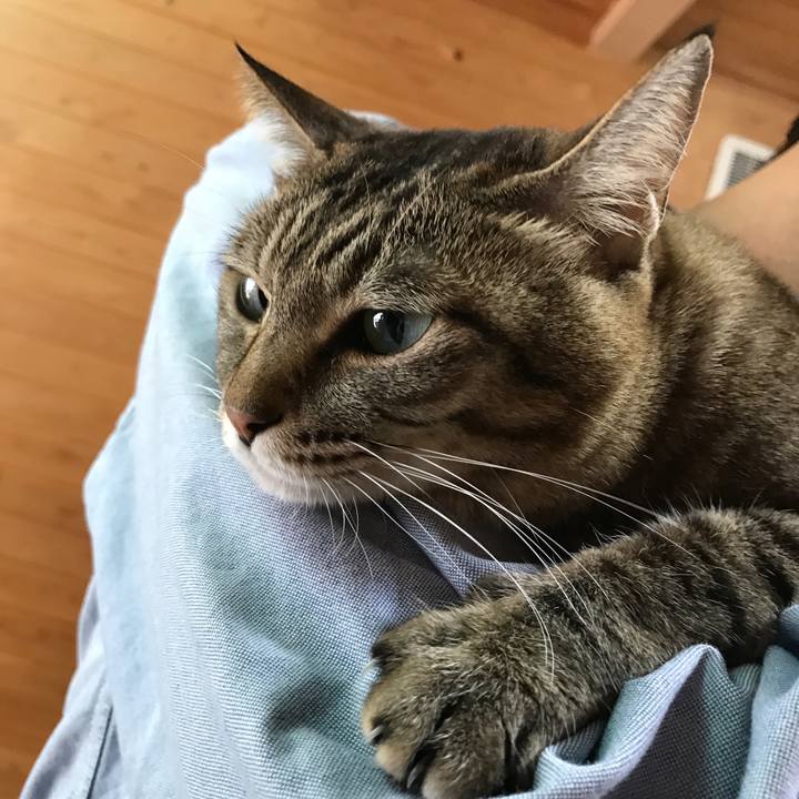 Bea205a1 5784 48b7 b353 2c1e4c25fd8a