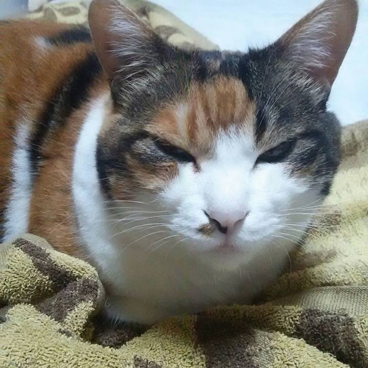 Bea34345 1e10 4edd 987b 70e10297895e