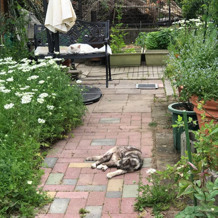 Bea41d8c 389a 4a0c a478 a0ddf7deb31e