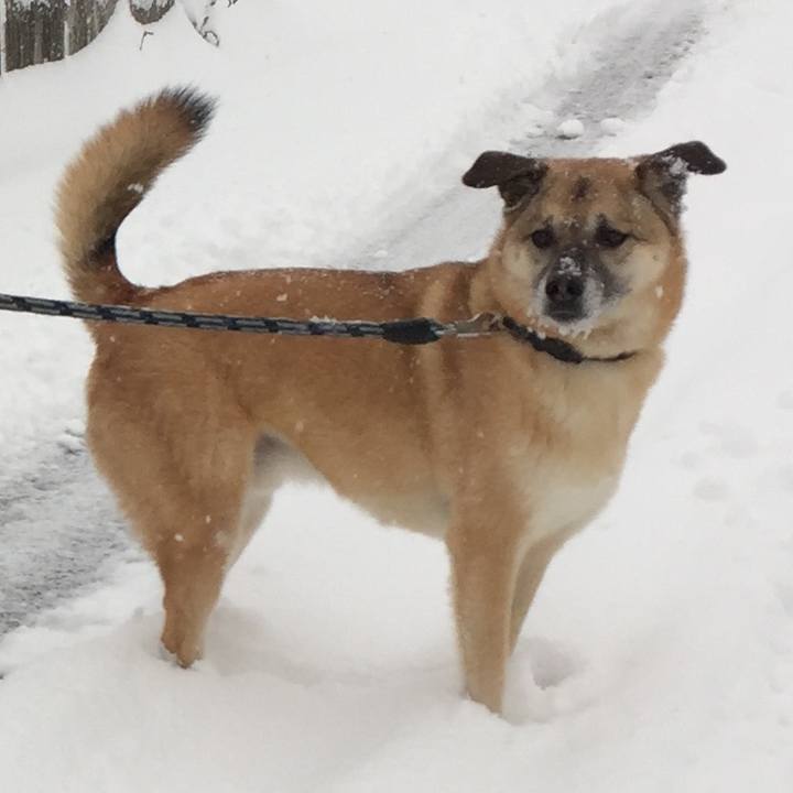 Bea4288a 4d86 472a 9395 3b925e1efb43