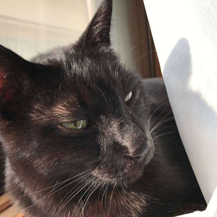 Bea48a18 7500 4446 9b44 6bd61faf5b8c