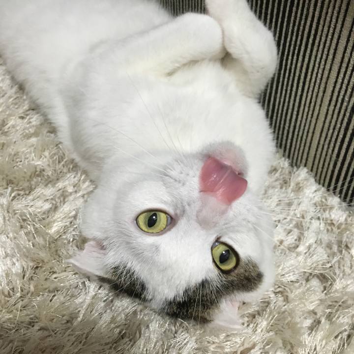 Bea4d761 7f8c 44b7 a932 2bc291acf57d