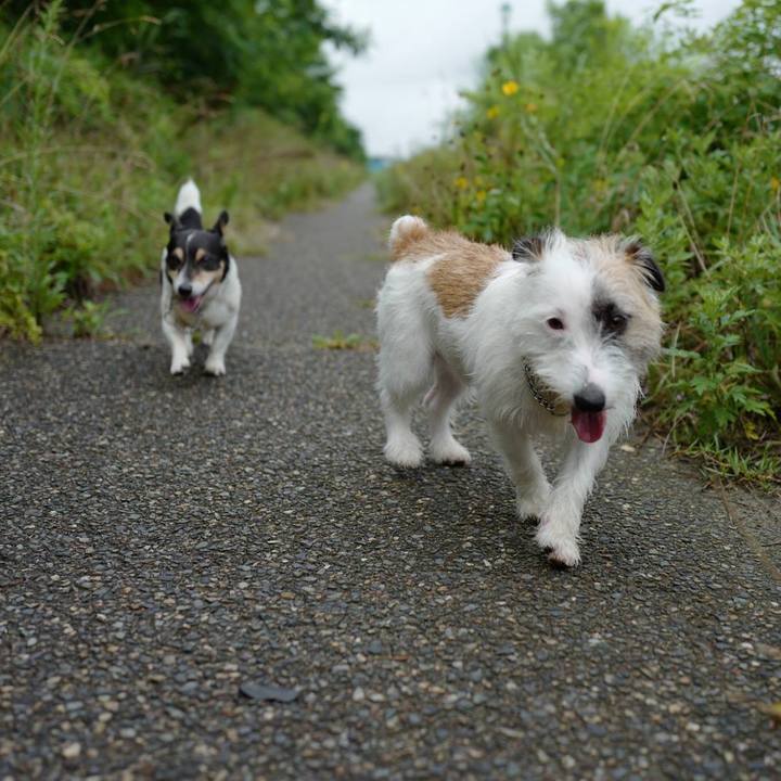 Bea4e95d f587 41f9 a541 0f57aa38bd7a