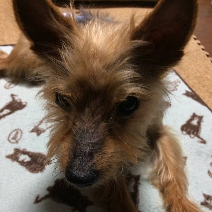 Bea5575b c1ba 4435 84d3 82e53dabd6ec