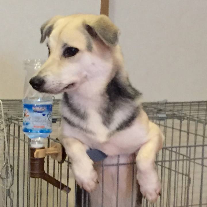 Bea563df 1f35 482b 947b 0d49766b412a