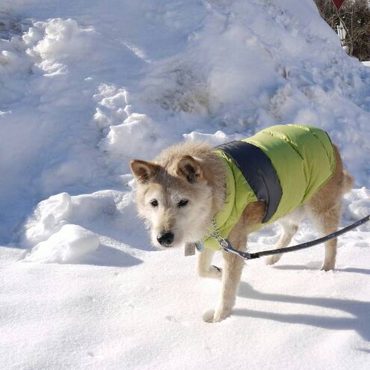 Bea69836 1b47 4578 b4e2 65d191637ed6