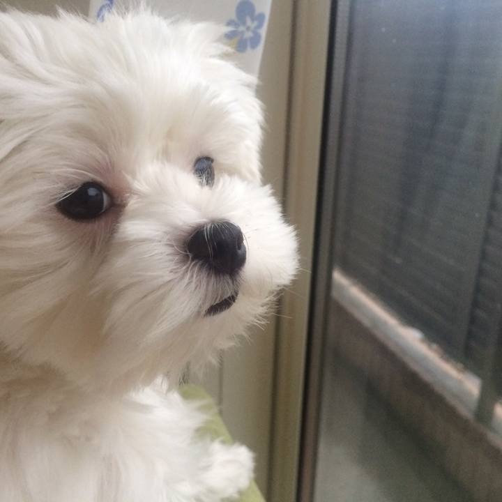 Bea73a55 c15f 4a92 8270 8058c931cb92