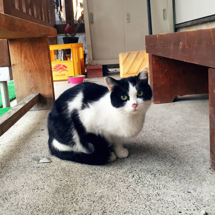 Bea7db83 3f1f 419b b27e 4f57123038ce