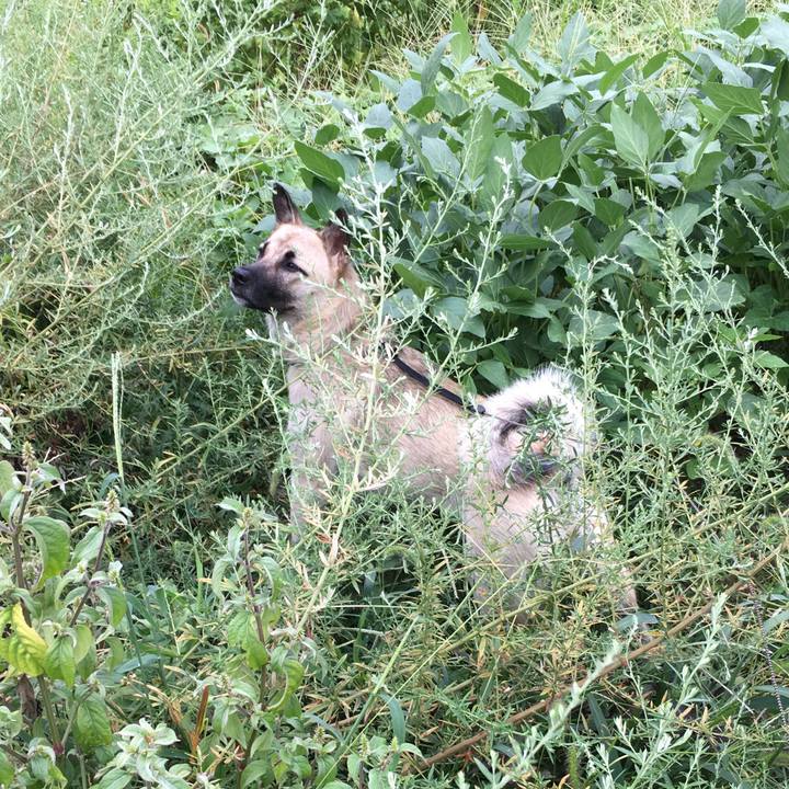 Bea832bb 74e2 4009 b041 9e784aa5e4d5