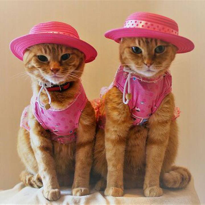 Bea83f73 fada 4218 9ff4 7b87bd4ab9b2