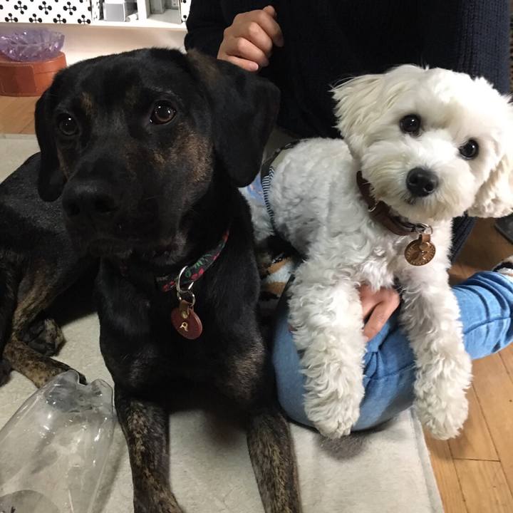 Bea84818 5977 436a b040 28dc2a6f476b