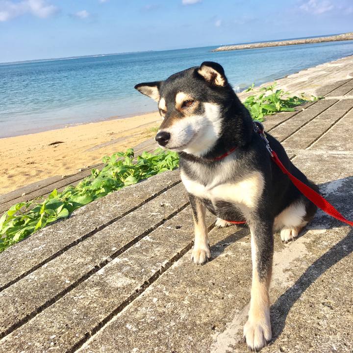 Bea871b6 b03d 4f20 b61c ef34d51a08cc