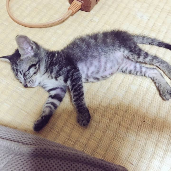 Bea8fa2c 8ae5 44d6 bc6f 4b4ca55d1871