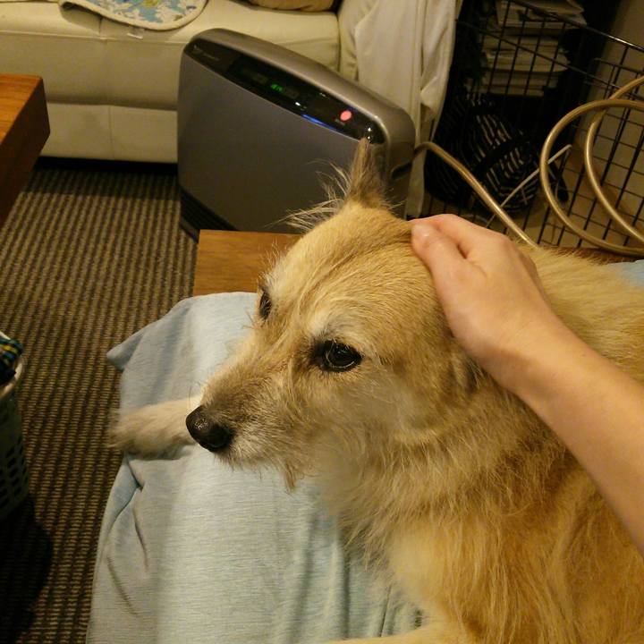 Bea956d0 c30e 4530 9d87 7dced19871b4