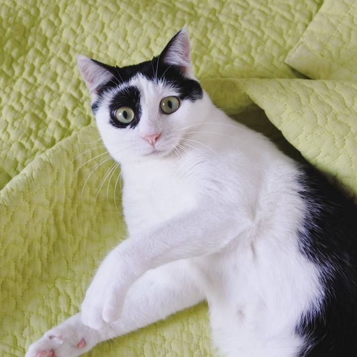 Bea9694e c3f9 4905 ac94 1823626d24cf