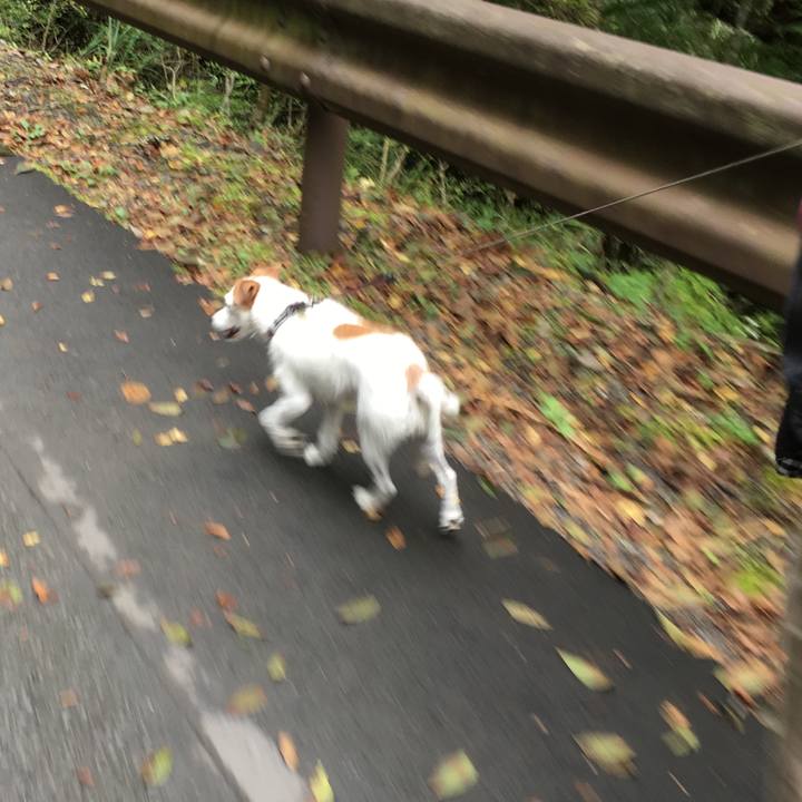 Beaa0564 1c12 4c50 a61b c2bb96d3c8aa