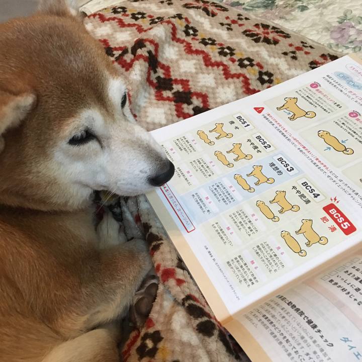 Beaa9ea7 d113 4460 877a fe6f4dd896a5