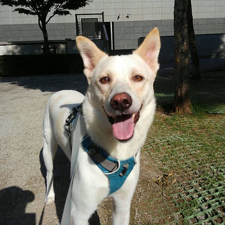 Beab9099 c94f 48da 810a b0ec79e04394