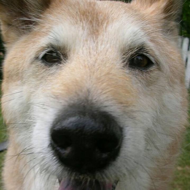 Beab9d57 7fc6 48f9 98d6 6230149cfc91