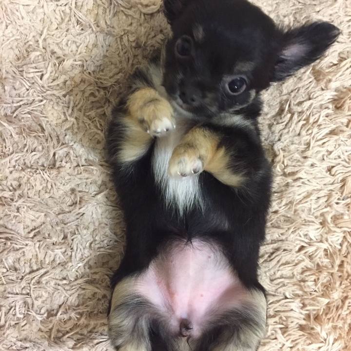 Beabb807 a478 47e0 9498 6dcebb5e712c