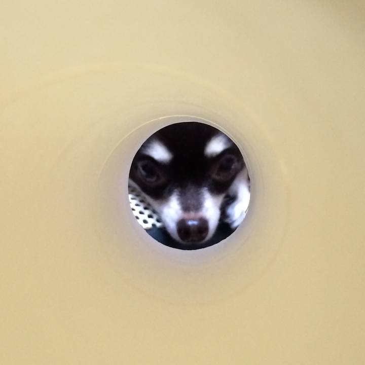 Beaca3e4 a9ad 421f 8d0c 80b0ef57206c