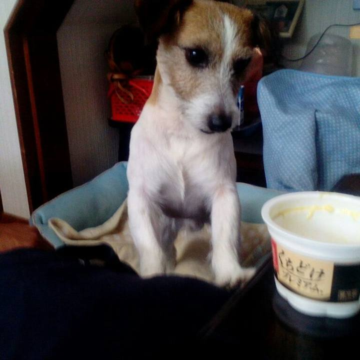 Bead1d1b 95c0 418b b704 70a735bf77d2