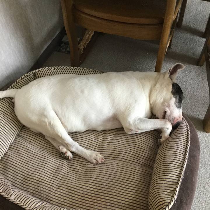 Bead5317 6aaf 47b5 ad75 e60c3ffb1b28