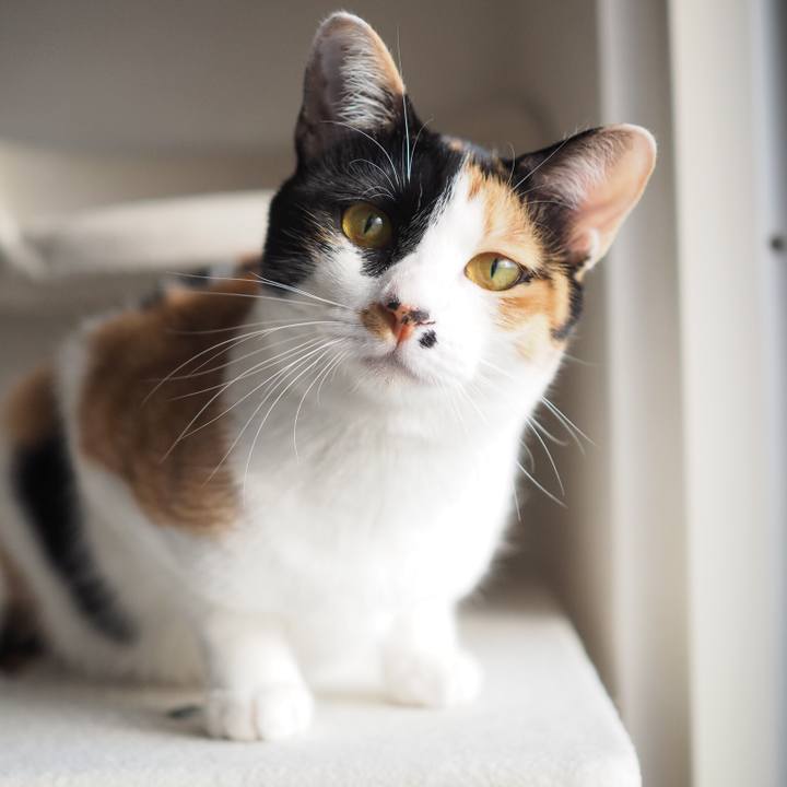 Bead7931 8c50 4b59 890e 0abf3439b09b