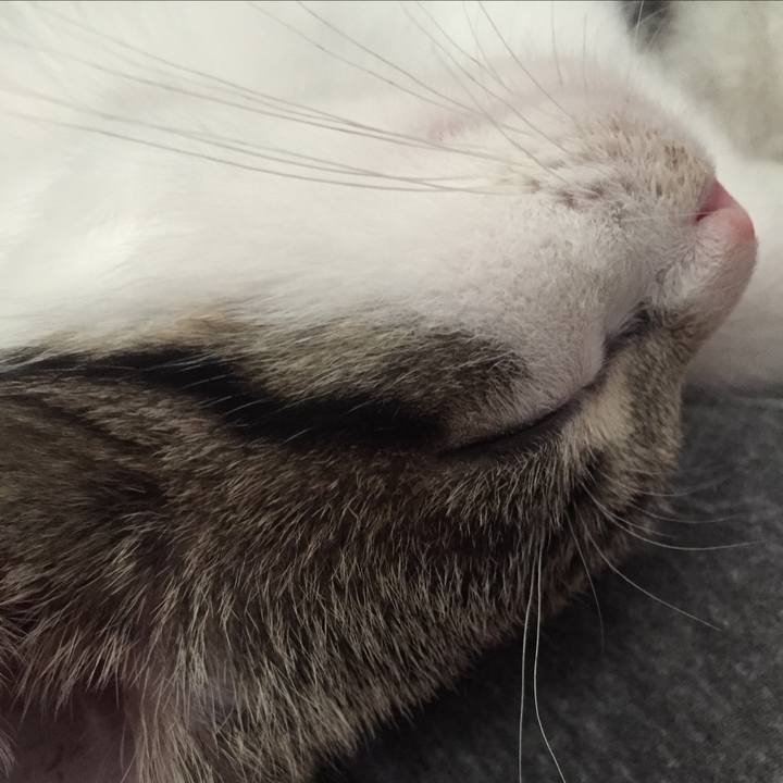 Beae1817 a180 4c7e 86e8 d4e64d2cdfe7