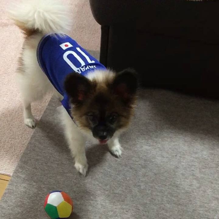 Beae1cde 3497 44b5 8baf 9e4b9f5be1c7