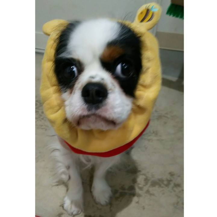 Beaea847 4486 42f2 9b62 9d127336895e