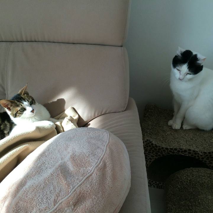 Beaf3ff1 d272 41a3 828f a2ace7638b59