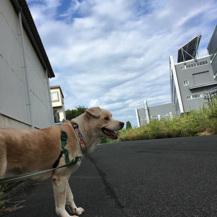 Beaf7c33 d6d3 4259 901c 827010a61bac