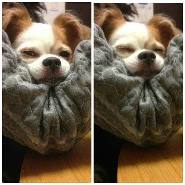 Beafb714 3f0e 4925 ba4e 1a7b6f28b26d