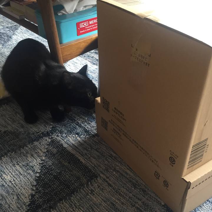 Beb07845 a21a 412d acf1 f4dc50c06793