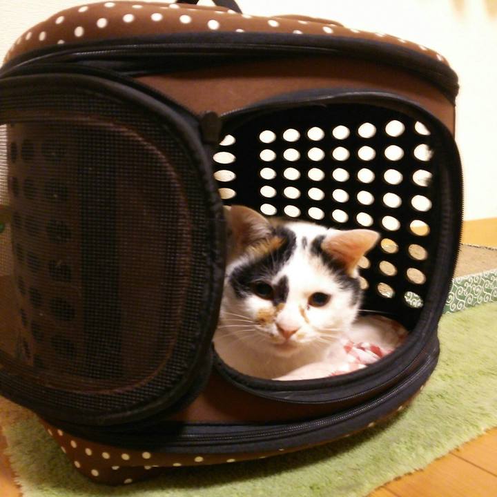 Beb16b4f 66f5 477d ba6c e49f78c55767