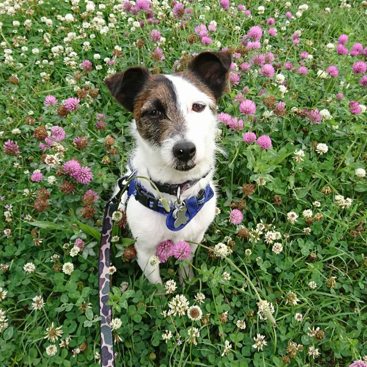 Beb182da 504f 42e0 add9 ce2e29211ff4