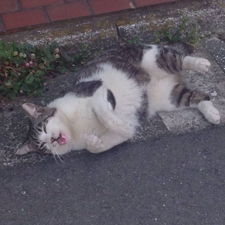 Beb19ab6 3386 4dfa 803b b36914737626