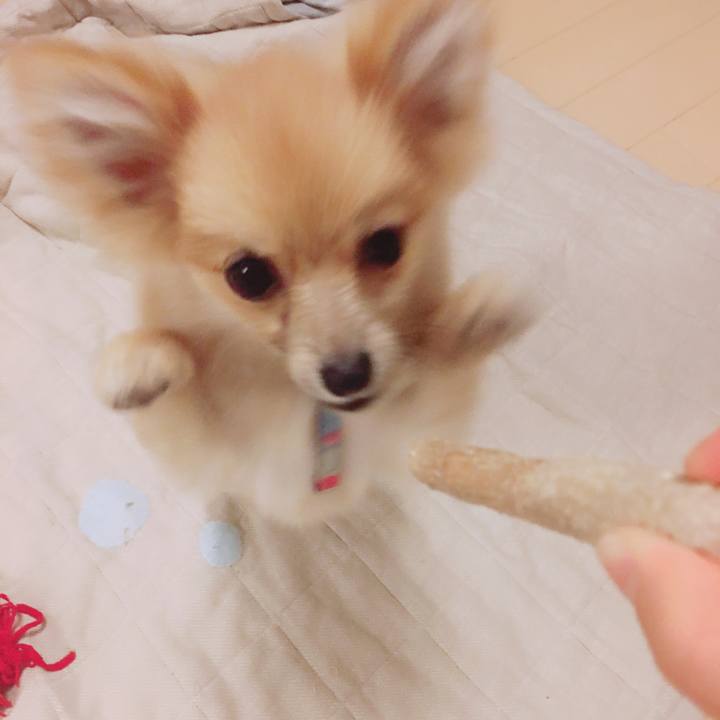 Beb1c16a 222a 490a a39c 3f4be85ea362