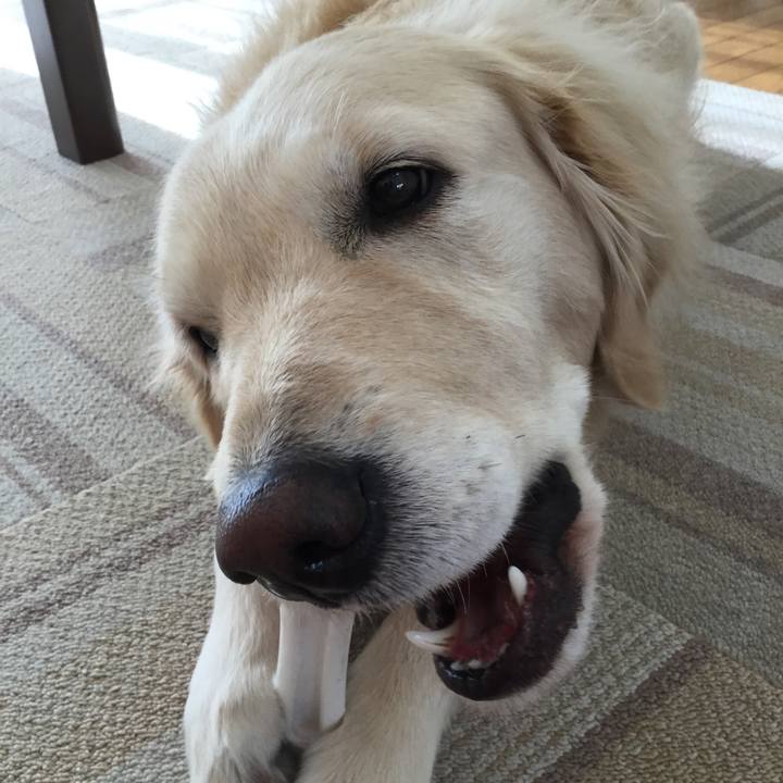 Beb22350 e3db 44da 8b39 396ad1a6aa43