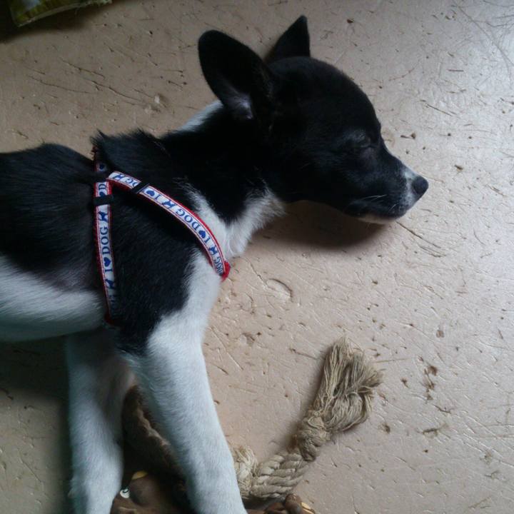 Beb23fbd 680e 4690 88f1 08afead5ac16