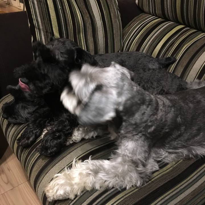 Beb2969a 9d00 4c44 aa32 cbc7ba77a7ef